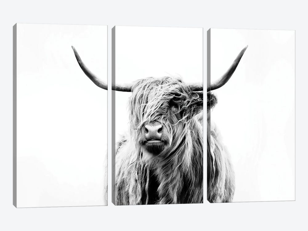 Portrait Of A Highland Cow 3-piece Canvas Wall Art