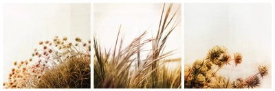 Adagio Triptych by Dorit Fuhg canvas print