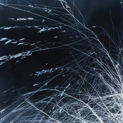 Every Night At Midnight by Dorit Fuhg canvas print