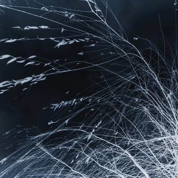 Dorit Fuhg: Every Night At Midnight by Dorit Fuhg