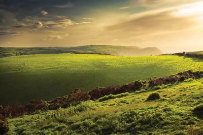 Illuminated Evening Landscape by Dorit Fuhg canvas print