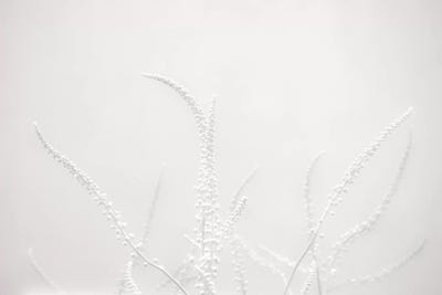 Imagine Too by Dorit Fuhg canvas print