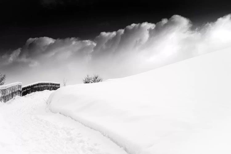 In The Ore Mountains by Dorit Fuhg wall art