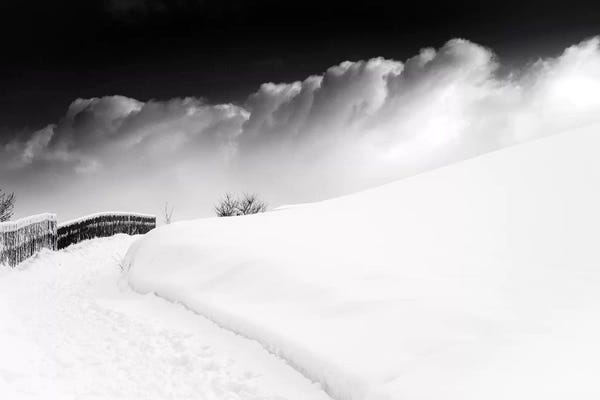 In The Ore Mountains