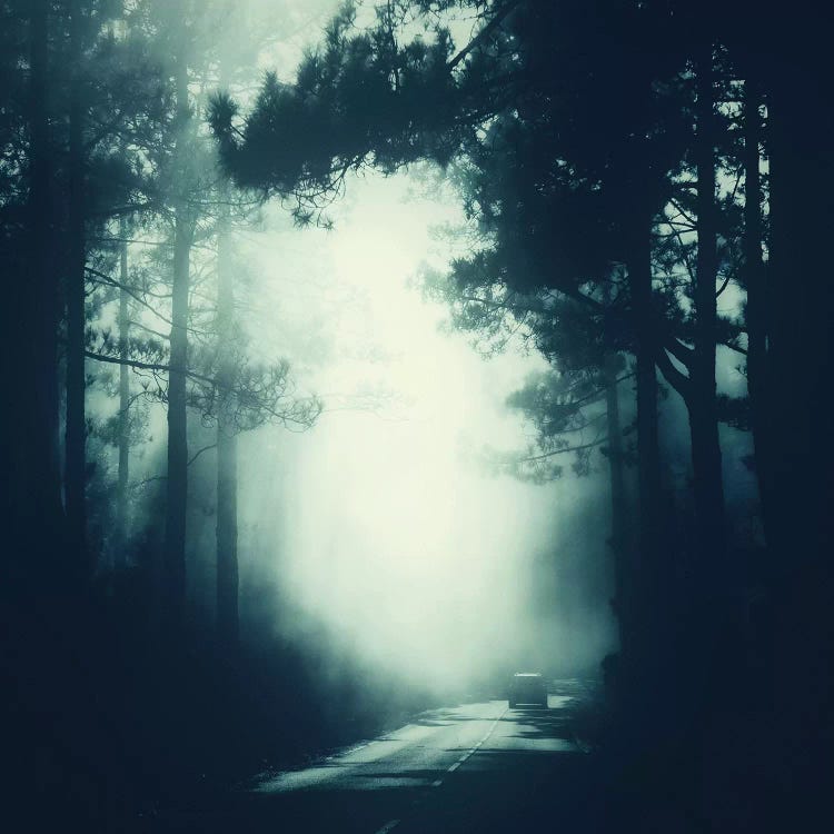 Passage by Dorit Fuhg wall art
