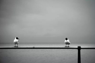 So... Now That I Got You Alone, How About... by Dorit Fuhg canvas print