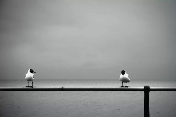 So... Now That I Got You Alone, How About...