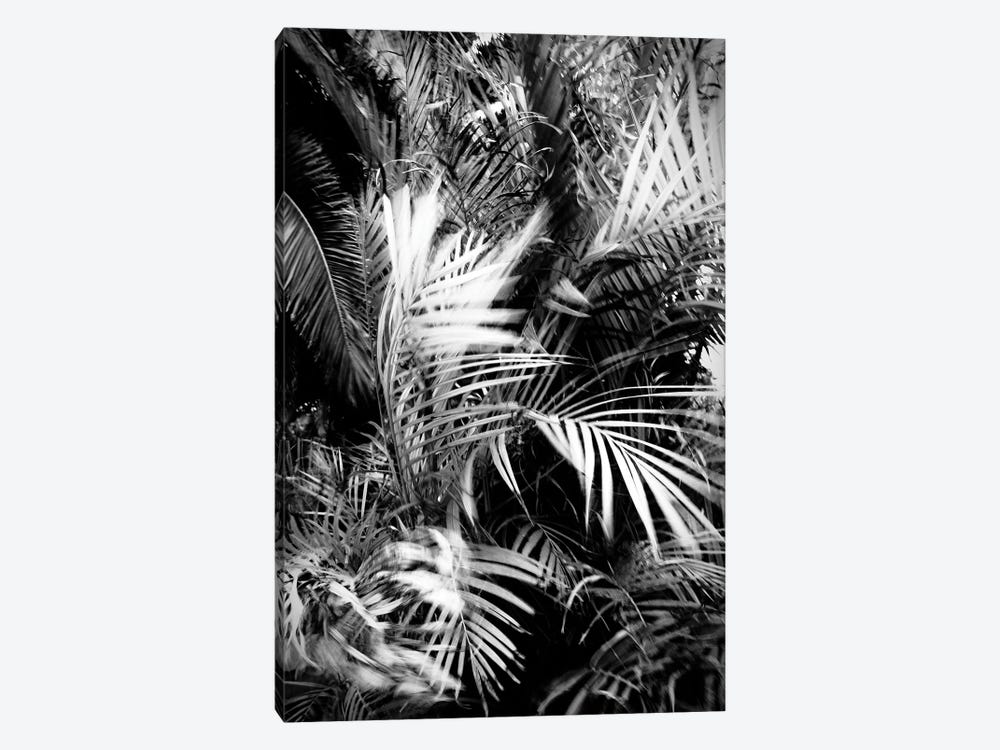 Wild Palm Tree 1-piece Canvas Art