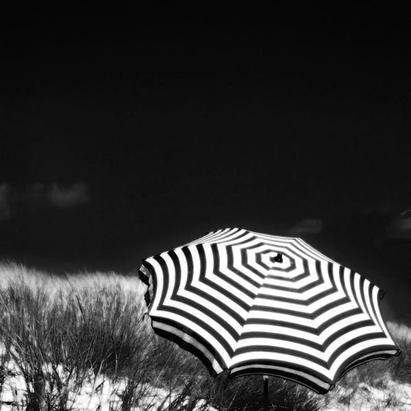 Large Black & White Art - Canvas Prints: An English Summer by Dorit Fuhg