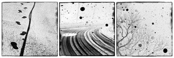 Trails, Paths & Roads: An English Winter II Triptych by Dorit Fuhg