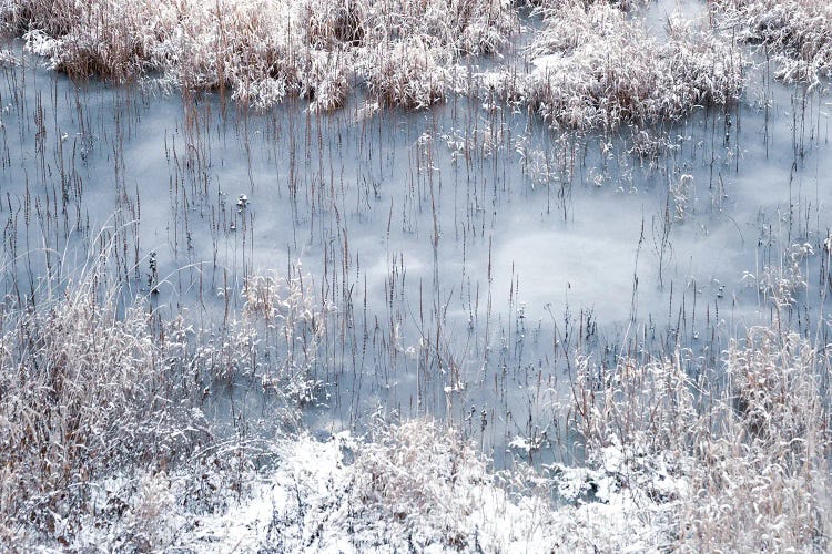 Winter River