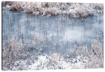 Winter River Canvas Art Print - Dorit Fuhg
