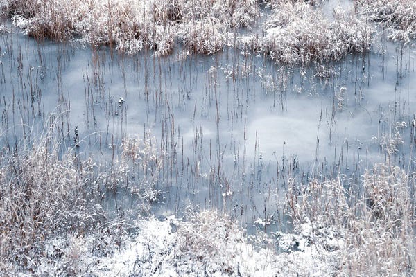 Winter River