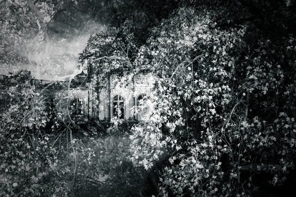 Castles & Palaces: Garden Castle by Dorit Fuhg