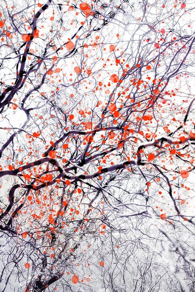 Fire Blossom Tree II by Dorit Fuhg canvas print