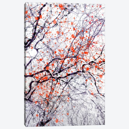 Fire Blossom Tree II Canvas Print #DFU92} by Dorit Fuhg Canvas Print