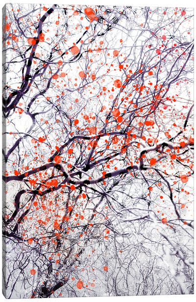 Fire Blossom Tree II Canvas Art Print - Dorit Fuhg