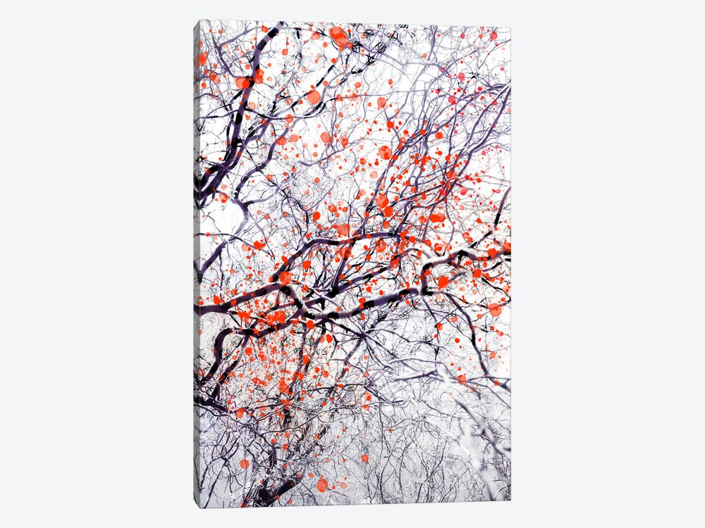 Fire Blossom Tree II by Dorit Fuhg 1-piece Canvas Print