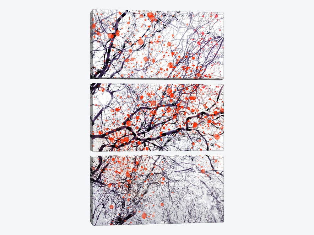 Fire Blossom Tree II by Dorit Fuhg 3-piece Canvas Print