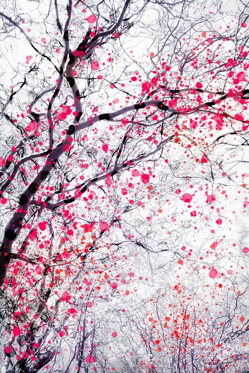 Fire Blossom Tree III by Dorit Fuhg wall art