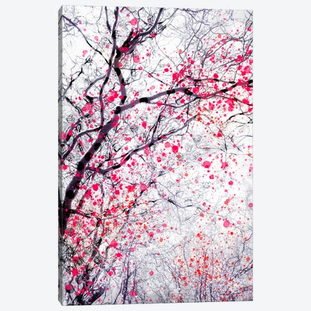 Fire Blossom Tree III Canvas Print #DFU93} by Dorit Fuhg Canvas Print