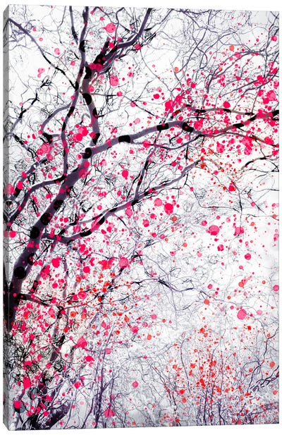 Fire Blossom Tree III Canvas Art Print - Dorit Fuhg