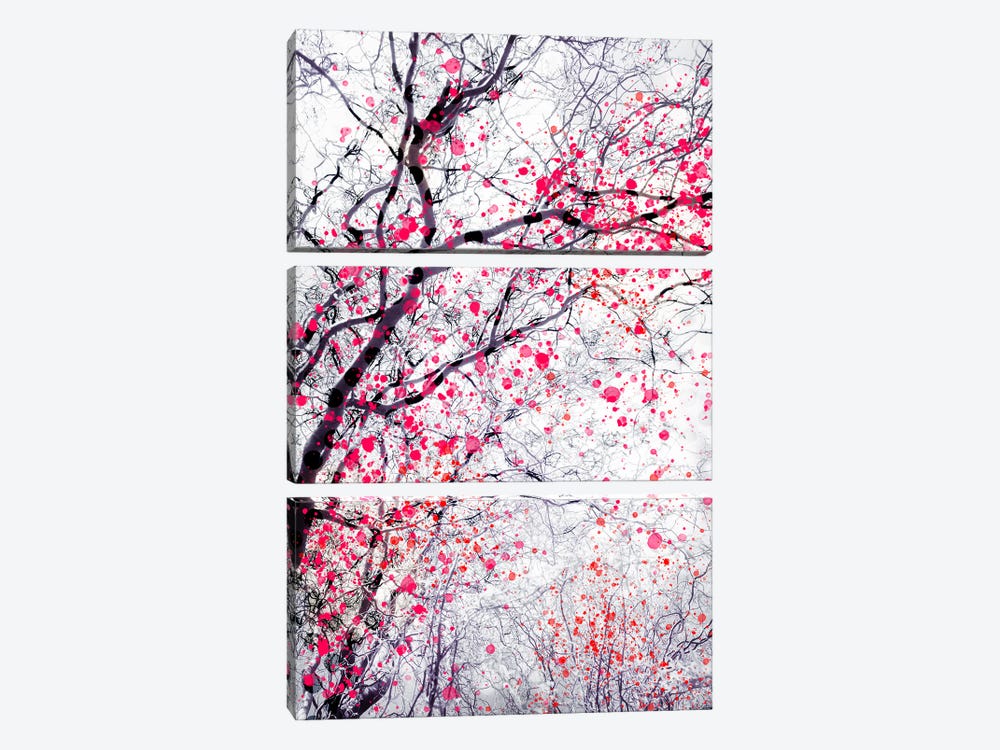 Fire Blossom Tree III by Dorit Fuhg 3-piece Canvas Artwork