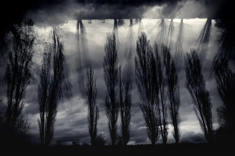 In Between Dreams by Dorit Fuhg wall art