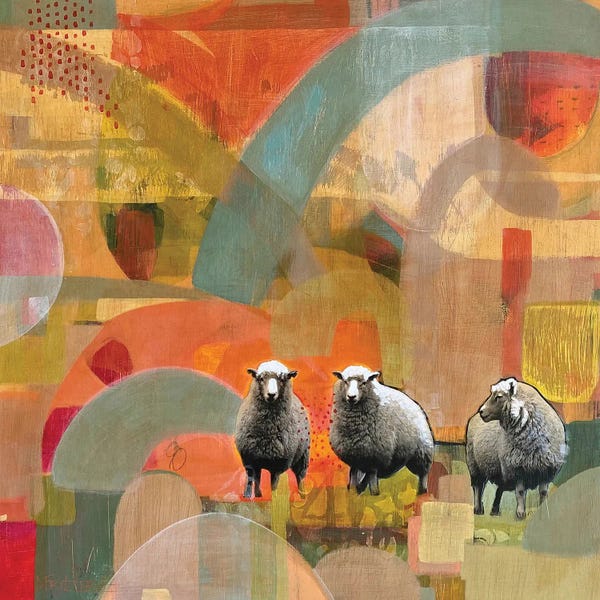 Sheep: Counting In My Sheep by Dianna Fritzler
