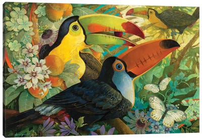 Interlude Canvas Art Print - Toucan Art