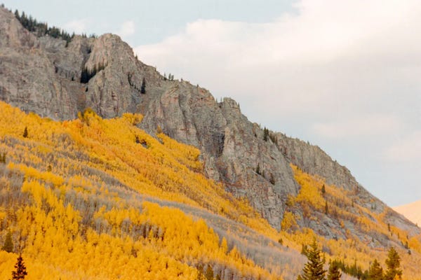 Daniel Garcia: Rocky Mountain Gold Rush by Daniel Garcia