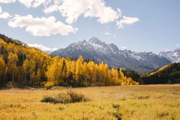 Daniel Garcia: Snow Capped Sneffels In Fall by Daniel Garcia