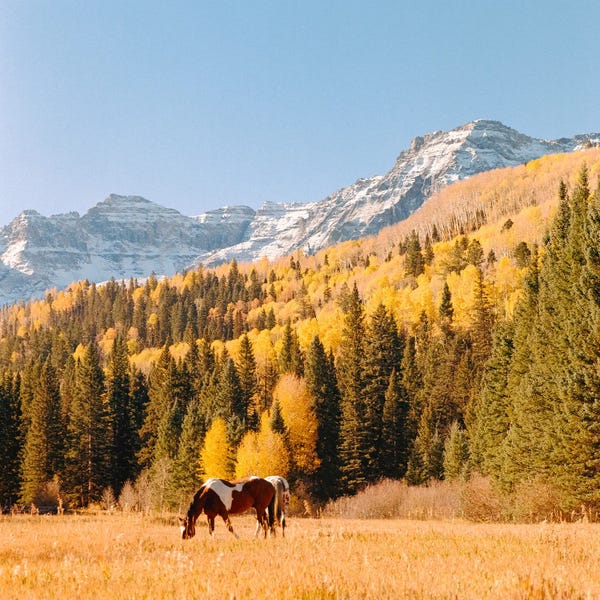 El Corazón De La Montaña