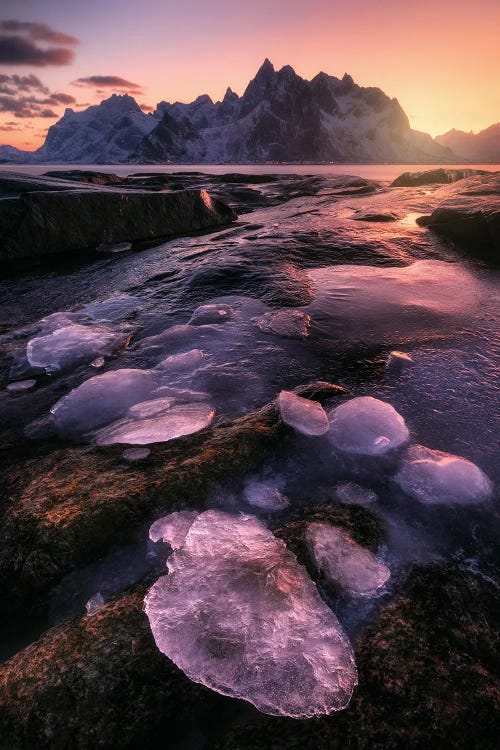 Arctic Glow At The Lofoten Coast In Northern Norway