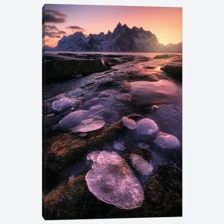 Arctic Glow At The Lofoten Coast In Northern Norway Canvas Print #DGG101} by Daniel Gastager Canvas Print