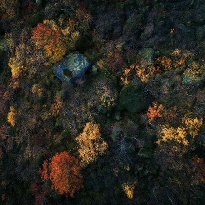 Lofoten Fall Colors From Above by Daniel Gastager canvas print