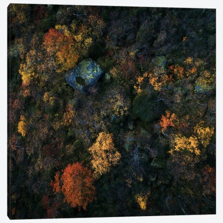 Lofoten Fall Colors From Above Canvas Print #DGG103} by Daniel Gastager Canvas Print