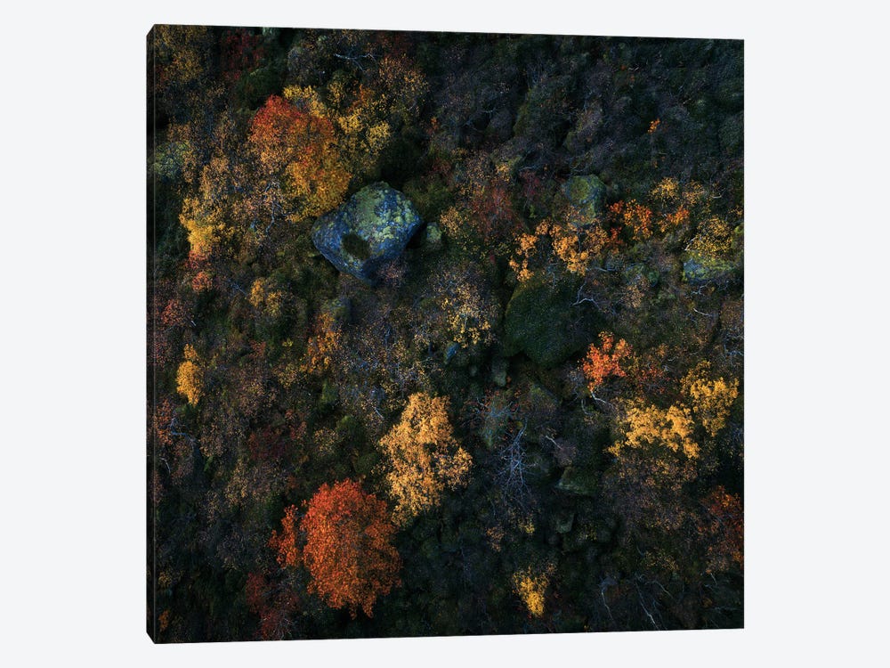 Lofoten Fall Colors From Above by Daniel Gastager 1-piece Canvas Wall Art