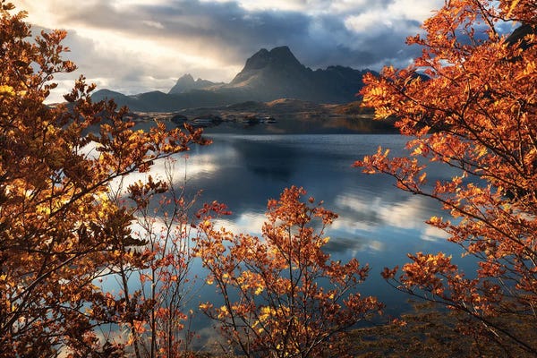 Daniel Gastager: A Fall Morning On The Lofoten Islands by Daniel Gastager