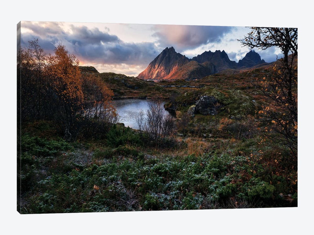 Fall Sunrise On The Lofoten Islands by Daniel Gastager 1-piece Art Print
