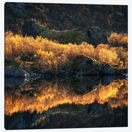 Golden Fall Colors In Northern Norway Canvas Print #DGG108} by Daniel Gastager Canvas Art Print