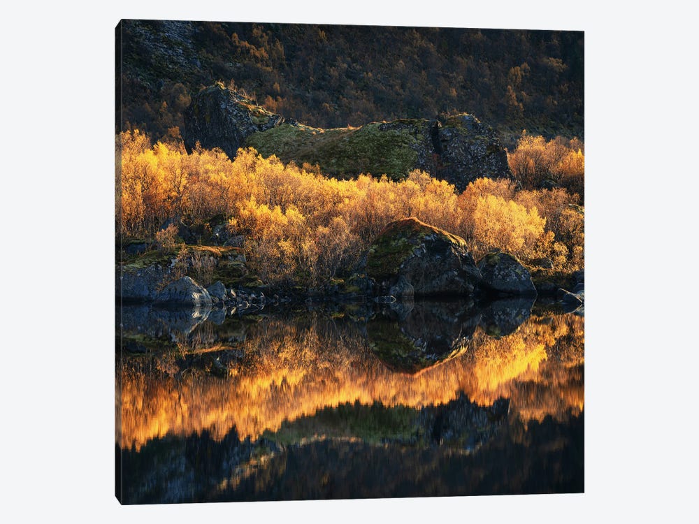 Golden Fall Colors In Northern Norway by Daniel Gastager 1-piece Canvas Print