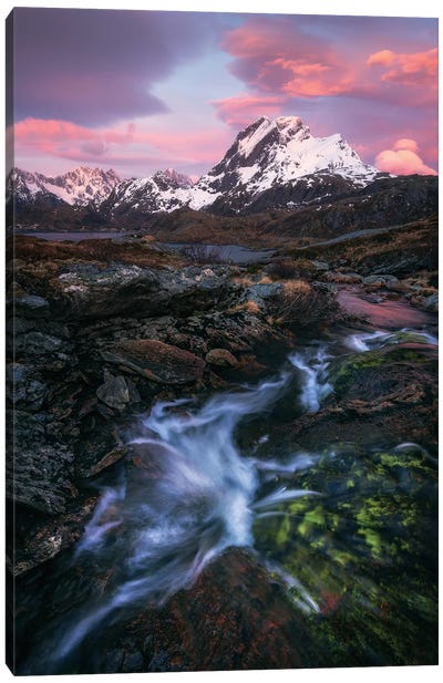 Pink Stormy Sunrise In Northern Norway Canvas Art Print - Daniel Gastager