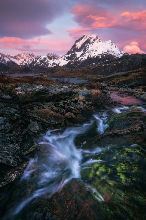 Pink Stormy Sunrise In Northern Norway