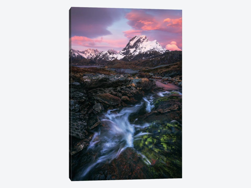 Pink Stormy Sunrise In Northern Norway by Daniel Gastager 1-piece Canvas Print