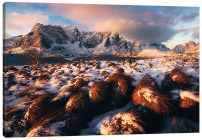 Golden Winter Morning In Sakrisoy On The Lofoten Islands Canvas Art Print - Daniel Gastager
