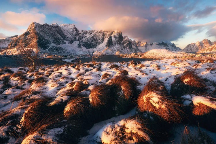 Golden Winter Morning In Sakrisoy On The Lofoten Islands