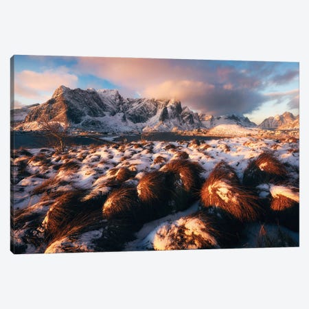 Golden Winter Morning In Sakrisoy On The Lofoten Islands Canvas Print #DGG124} by Daniel Gastager Canvas Art