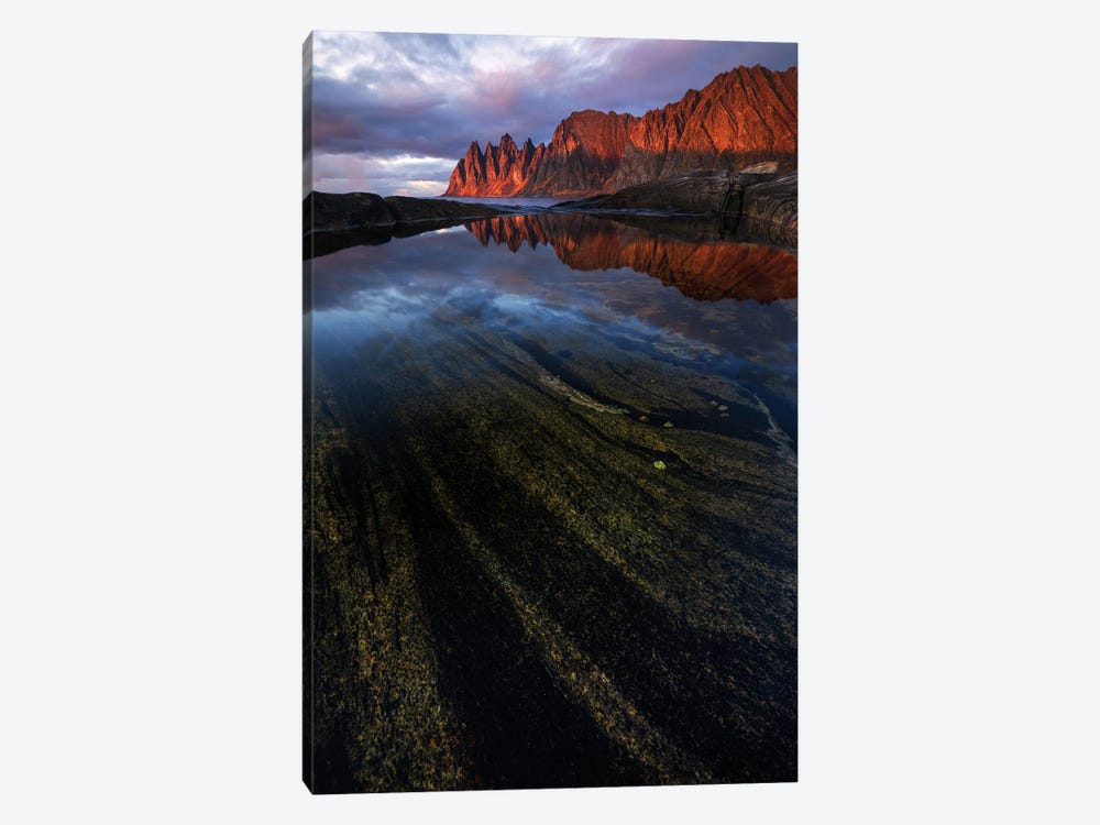Red Sunset At The Senja Coastline by Daniel Gastager 1-piece Art Print