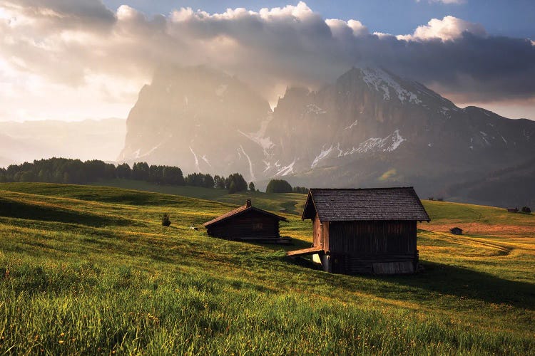 Golden Spring Morning At Alpe Di Suisi In The Dolomites